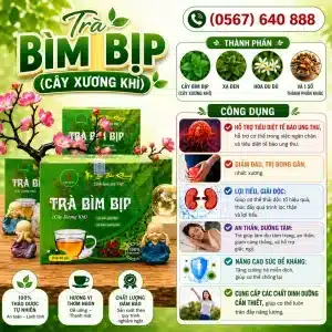 Trà Túi Lọc Bìm Bịp (Cây Xương Khỉ)
