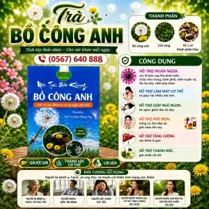 Trà Túi Lọc Bồ Công Anh Bảo Khang