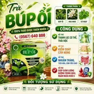 Trà Túi Lọc Búp Ổi Bảo Khang