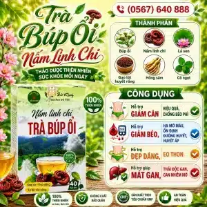 Trà Túi Lọc Búp Ổi Nấm Linh Chi Bảo Khang