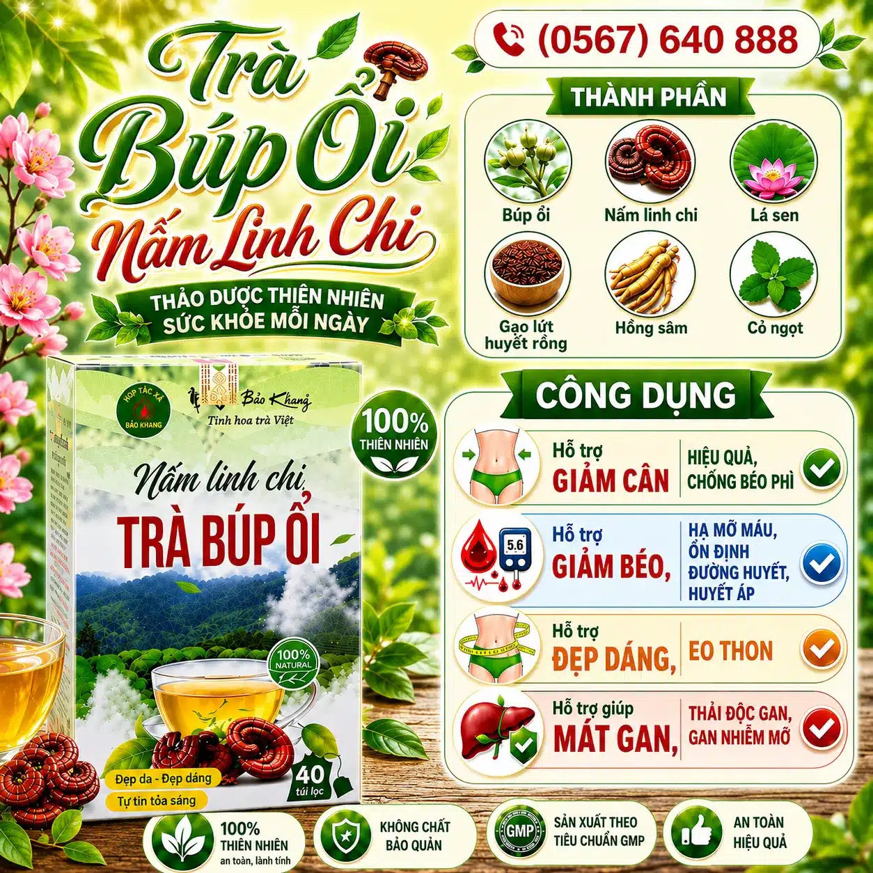 trà búp ổi nấm linh chi