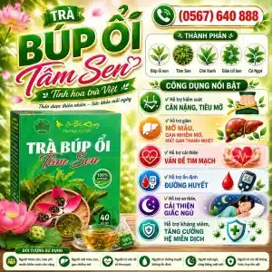Trà Túi Lọc Búp Ổi Tâm Sen Bảo Khang
