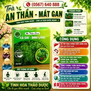 Trà Túi Lọc Cà Gai Leo Đinh lăng Bảo Khang