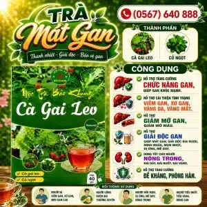 Trà Túi Lọc Cà Gai Leo Bảo Khang