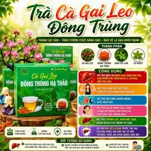 Trà Cà Gai Leo Đông Trùng Hạ Thảo