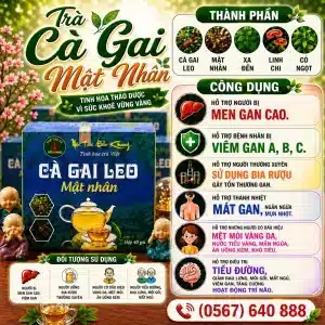 Trà Túi Lọc Cà Gai Leo Mật Nhân