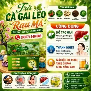Trà Túi Lọc Cà Gai Leo Rau Má Bảo Khang