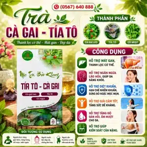 Trà Túi Lọc Cà Gai Leo Tía Tô Bảo Khang