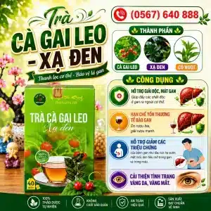 Trà Túi Lọc Cà Gai Leo Xạ Đen Bảo Khang