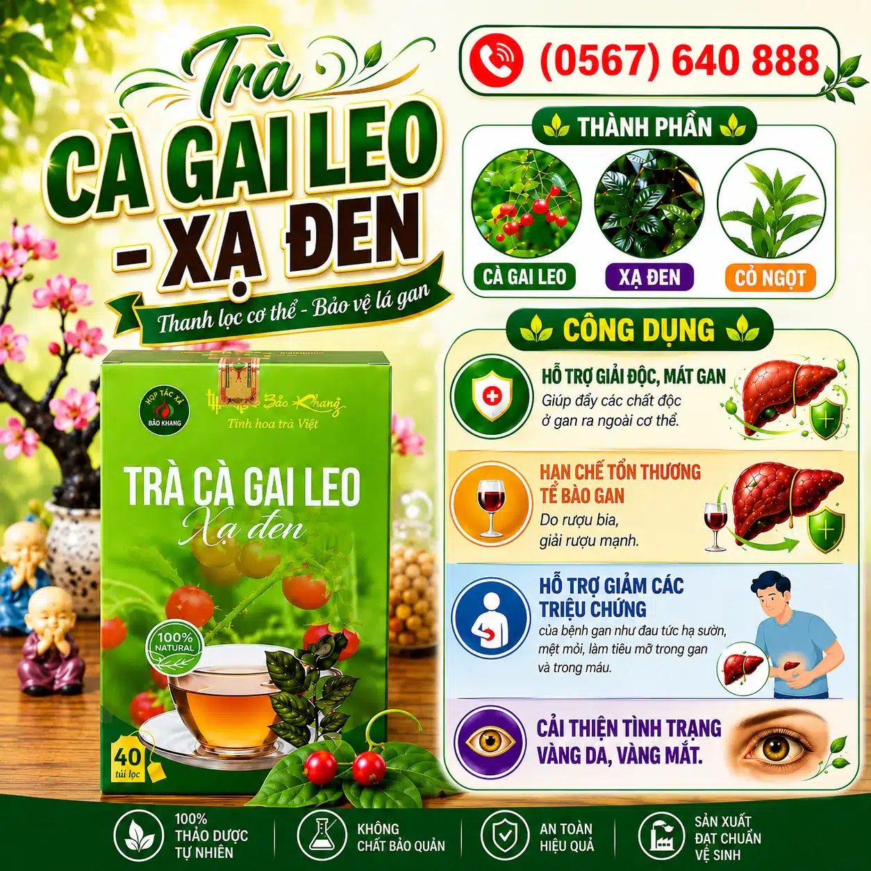 trà cà gai leo xạ đen