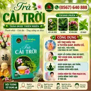 Trà Túi Lọc Cây Cải Trời Bảo Khang