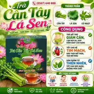 𝐓rà Túi Lọc Cần Tây Lá Sen Bảo Khang