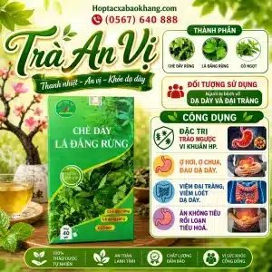 Trà Chè Dây Lá Đắng Rừng Bảo Khang