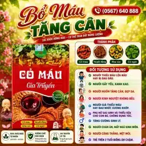 Trà Túi Lọc Cỏ Máu Bảo Khang