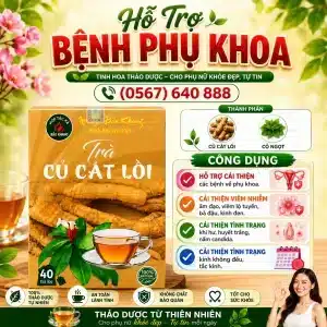 Trà Túi Lọc Củ Cát Lồi Bảo Khang
