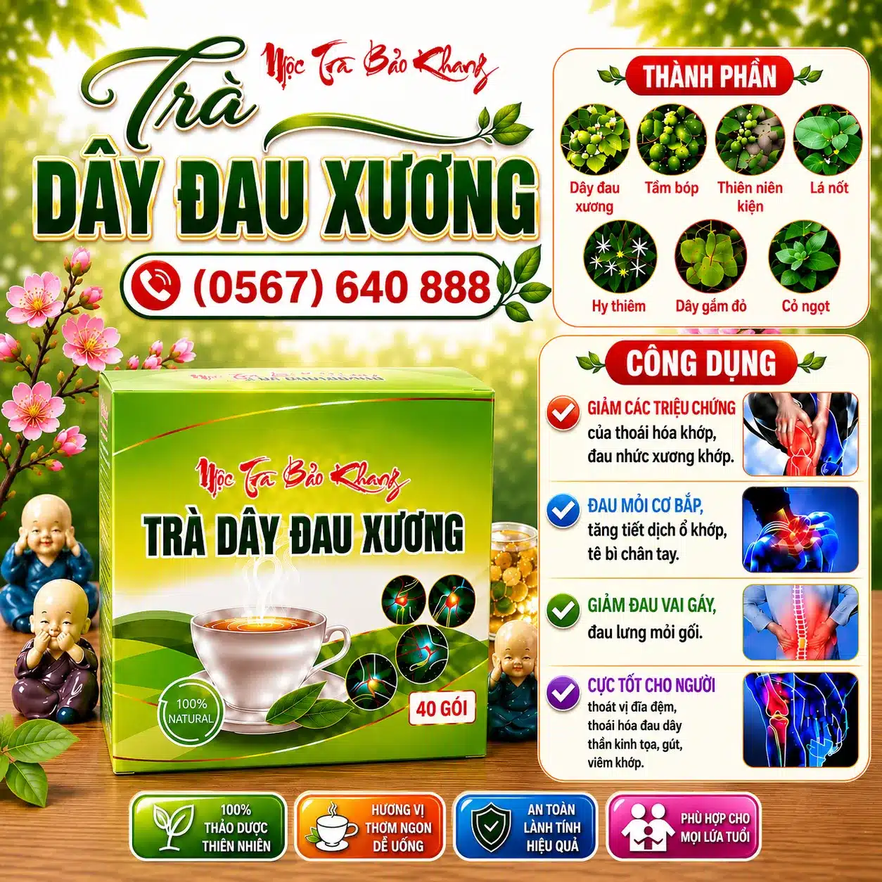 trà dây đau xương