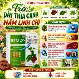 Trà Túi Lọc Dây Thìa Canh Nấm Linh Chi
