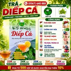 Trà Túi Lọc Diếp Cá Bảo Khang