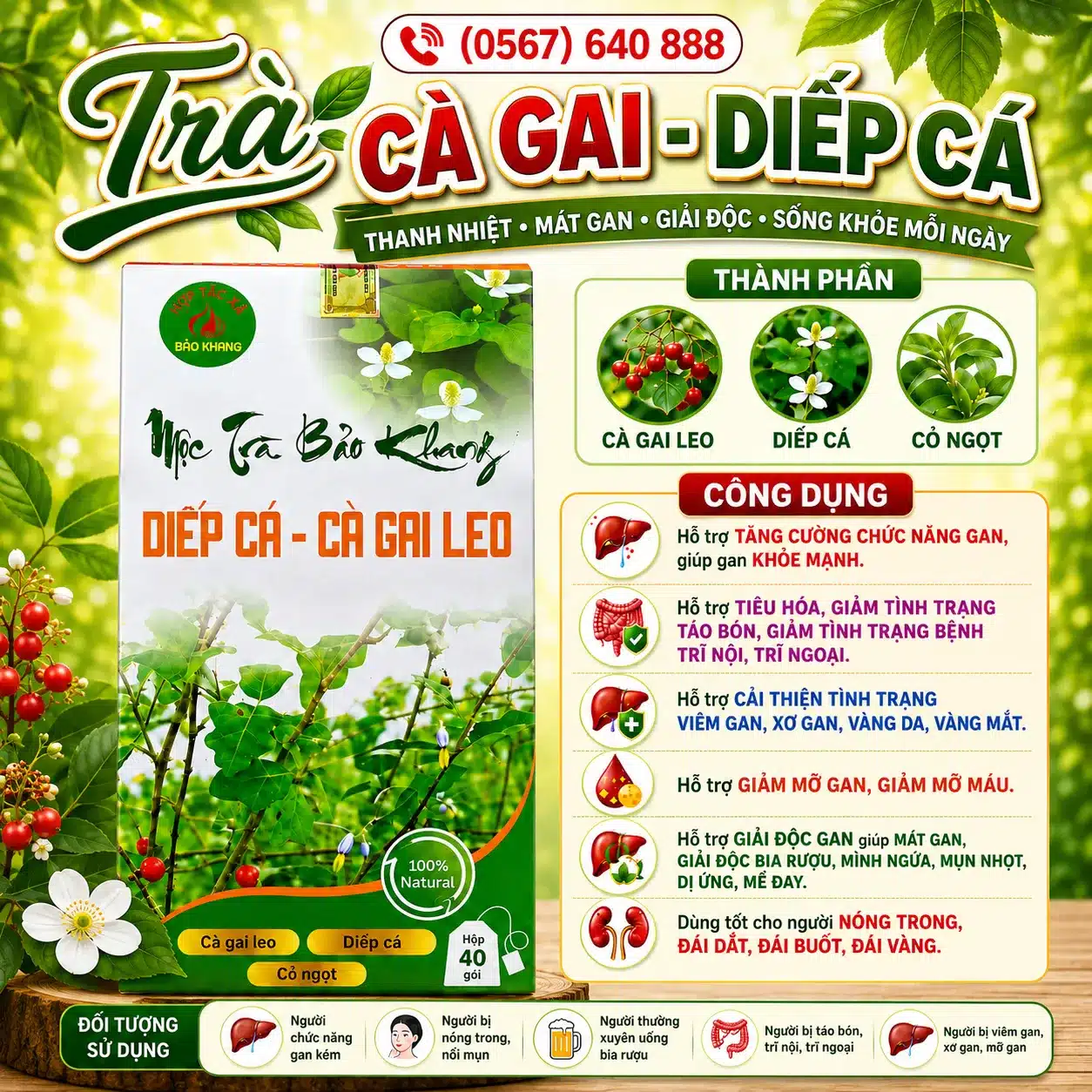trà diếp cá cà gai leo