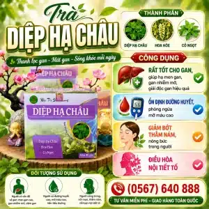 TRÀ TÚI LỌC DIỆP HẠ CHÂU BẢO KHANG