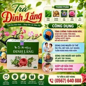 Trà Túi Lọc Đinh Lăng Bảo Khang