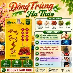 Trà Túi Lọc Đông Trùng Hạ Thảo