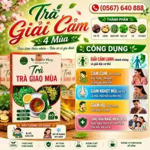 Trà Túi Lọc Giải Cảm 4 Mùa Bảo Khang