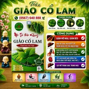 Trà Túi Lọc Giảo Cổ Lam Bảo Khang