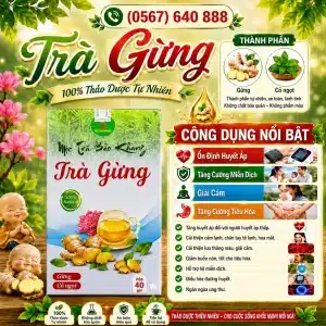 Trà Túi Lọc Trà Gừng Bảo Khang