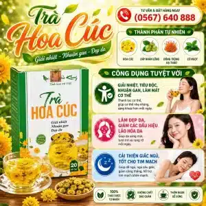Trà Túi Lọc Hoa Cúc