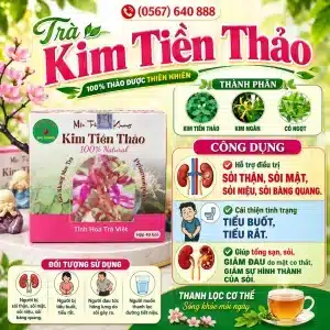 Trà Túi Lọc Kim Tiền Thảo Bảo Khang