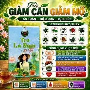 Trà Túi Lọc Lá Nam 10 Vị Bảo Khang