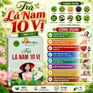 Trà Túi Lọc Lá Nam 10 Vị Bảo Khang