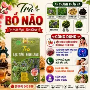 Trà Túi Lọc Tiền Đình Bảo Khang