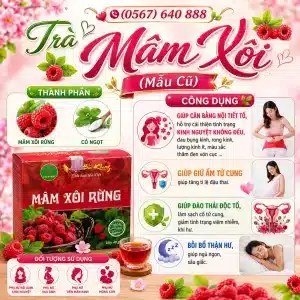 Trà Túi Lọc Mâm Xôi Rừng Bảo Khang
