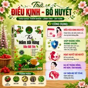 Trà Túi Lọc Mâm Xôi Rừng Bầu Đất Tím Bảo Khang