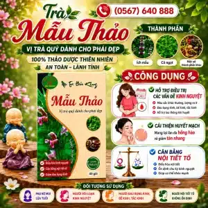 Trà Túi Lọc Mẫu Thảo Bảo Khang