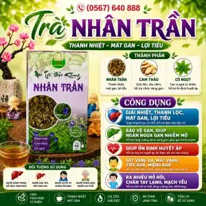 Trà Túi Lọc Nhân Trần Bảo Khang