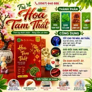 Trà Túi Lọc Nụ Hoa Tam Thất Bảo Khang