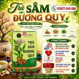 Trà Túi Lọc Sâm Đương Quy Bảo Khang