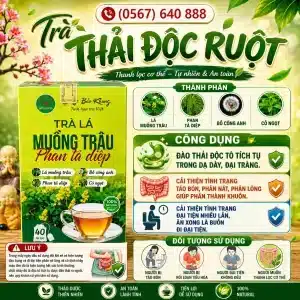 Trà Túi Lọc Thải Độc Ruột Bảo Khang
