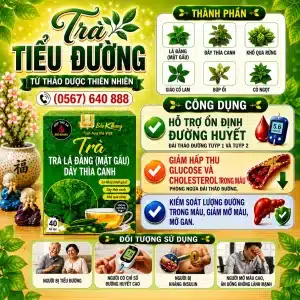 Trà Túi Lọc Tiểu Đường