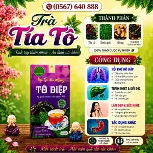 Trà Túi Lọc Tô Diệp Bảo Khang