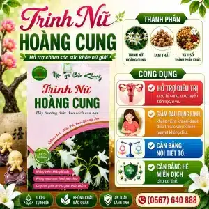 Trà Túi Lọc Trinh Nữ Hoàng Cung Bảo Khang