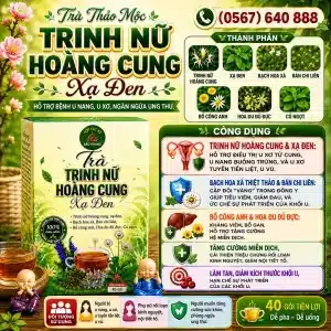 Trà Túi Lọc Trinh Nữ Hoàng Cung Xạ Đen Bảo Khang