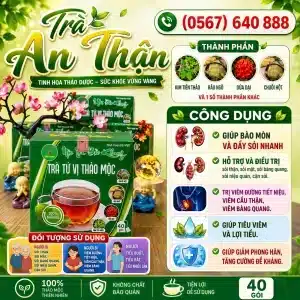 Trà Túi Lọc An Thận Bảo Khang