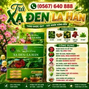 Trà Túi Lọc Xạ Đen La Hán Bảo Khang
