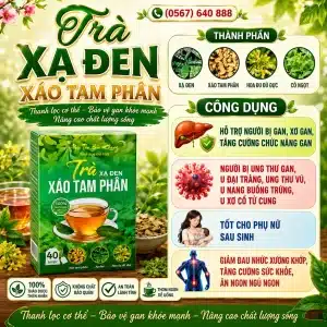 Trà Túi Lọc Xạ Đen Xáo Tam Phân Bảo Khang